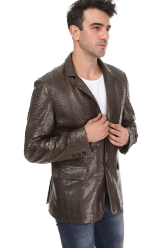 61101 BLAZER  PYTHON