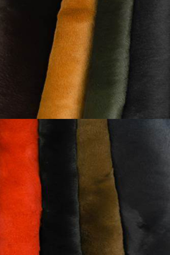 KANGAROO COLOUR DETAIL T010911