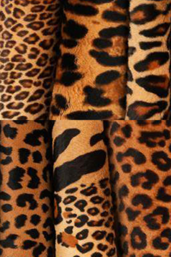 KANGAROO SERIGRAPHY 4 DETAIL T013676