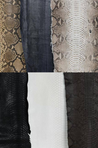 EXOTIC LEATHER PYTHON DETAIL