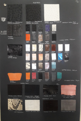 EXOTIC SKIN READY TO DELIVER