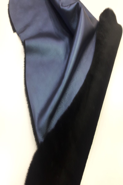 T017669 DF PARLIAMENT BLUE